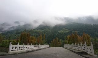 西岭雪山风景区